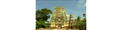 24. திருச்சிறுபுலியூர்